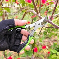 Pruning Shears Garden Branch Shears Grape Shears Fruit Picking Shears Gardening Shears Flower Branch