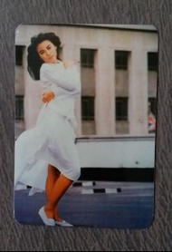 陳雅倫  2R相（非3R）