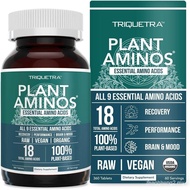 Plant Aminos Organic Essential Amino Acid Supplement (EAAs) & BCAA - 100% Plant-Based Raw, Vegan - A