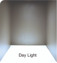 (ลัง12หลอด) หลอดไฟ LED Philips 5w 7w 9w 11w 13w รุ่น Essential กล่องเขียว ขั้ว E27 ลงลัง