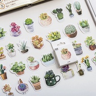 50 Pcs Succulent Boxed Stickers Stationery Flakes Scrapbooking DIY Decorative Stickers