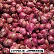 Bawang Merah Kecil (Shallot) / Bawang Merah Besar / Bawang Holland / Bawang Putih
