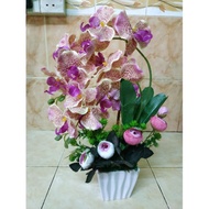 🔥🔥hot item new design orchid cotton rose (C2R) orkid cotton murah