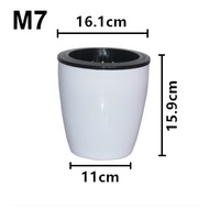 *5pcs* Self watering Pot (L Size) Hydroponic Pot sistem hidroponik M7