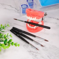 1PC Dental Porcelain Brush Pen Dental Technician Tools Dental Lab Tools