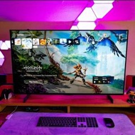 LG C2 42" 送VESA適配架
