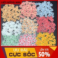 Flower NAIL POWDER code 002