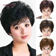 Ptr Wig Wanita Pendek Kerja Rambut Asli Rambut Palsu Wig Natural Korea