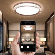 Fan s + Lighting ~時尚奢華LED吸頂燈 (包送包基本安裝)