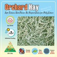 Dust Free Premium filtered Timothy/ Alfalfa / Orchard imported hay 500g / 1kg / 3kg - for small anim