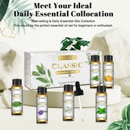 TROPICTROVE Essential Oils Gift Set For Humidifier Lavender Eucalyptus Peppermint Sweet Orange Tea T