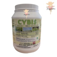 CYBIS 500g Nufarm Racun Rumpai/Sambau Dalam sawah /Racun 3in1 Sambau padi Burung/Ekor Tebu/Colok Cin