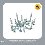 Countersunk (CSK) Self Drilling Screw