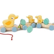 Tender Leaf Toys - Pull Along Ducks - Classic Wooden Pull Along Toy - 9pc Duck Family Set