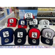 Crocodile Fashion Mesh Hat