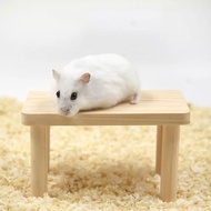 Wooden Hamster Stand | Small Animals
