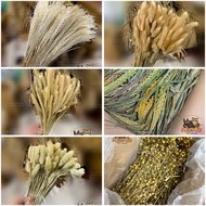 [READY AVAILABLE] hamster cage decorative branches, cereal branches, flowers, branches, decorative c