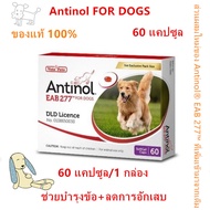 Antinol DOG 60 แคปซูล(หมดอายุ08/2025)แพ็คเกจใหม่ อาหารเสริมบำรุงข้อ ข้ออักเสบ 1 กล่องบรรจุ 60 เม็ด