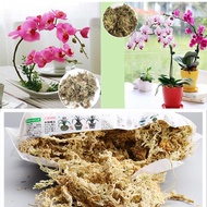 [Hot K] 12L Sphagnum Moss Nutrition Organic Fertilizer For Orchid Phalaenopsis Succulent Plant Flower Soil Garden Supplies