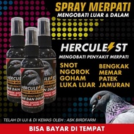 OBAT MERPATI SPRAY HERCULEST MENGOBATI SNOT GOHAM MEMAR PATEK JAMURAN