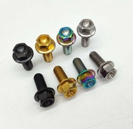 Screw M6/M8 Titanium Tc4 Titanium Screw Small Head Flange External Hexagon Bolt Motorcycle
