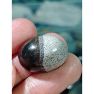 Permata Fossil Gemunggal Urat Padu Motif Multuwarna Asli Saiz 20sen Lama (22mm x 16mm)