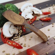 Wooden Ice Cream Spoon, Spice Spoon, Salt Spoon, Small Spoon