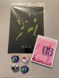 RADIO EVA ART 福音戰士 限定周邊 File 襟章 鏡