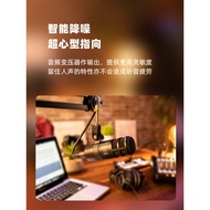 Audio-Technica Microphone AT2040 Radio Dynamic Radio Station Sound Dubbing Live Recording K Singer V