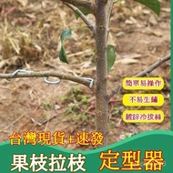 💥Taiwan Shipment💥Fruit Branch Pedicure Pull Branch Handy Tool Pull Branch Shaper Curved Branch Corne