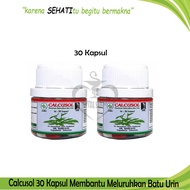 Calcusol Obat Peluruh Batu Ginjal Urin