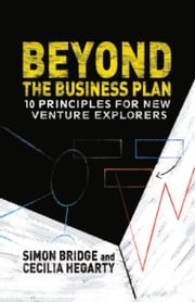 Beyond the Business Plan S. Bridge
