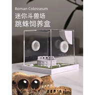 Jumping Spider Breeding Box Florida Jumping Spider Breeding Box Spider Breeding Box Buddha Jumping B