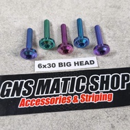 Probolt Titanium Bolt M6x30 Bighead Thread 10 Length 3cm Titanium bolt/ m6x30 bighead titanium m6 ti