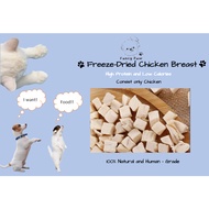 Freeze Dried Cat/Dog Chicken Breast Cube