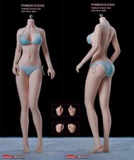 TBLeague 1/6 S34  拆賣 白膚 少女鋼骨素體(全新品)~數量有限!要買要快!