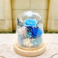 永生花/乾燥花/柱型/夜燈/玻璃盅/玻璃罩