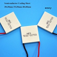 WOAY Semiconductor Cooling Sheet, 30x30mm 40x40mm Refrigeration Plate,  TEC1-12702 5 Styles TES1-071
