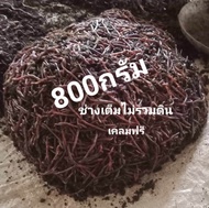 ไส้เดือน AF บรรจุ 800 กรัม