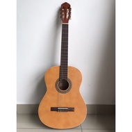 Giannini Acoustic Guitar GWNX-20N