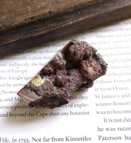 Barite Chalcopyrite 重晶石 黃銅礦 共生礦 天然礦石 原礦