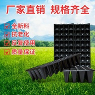 Seedling Tray Seedling Acupoint Tray Seedling Tray Wholesale Thickened Forest Wood Vegetables Succul