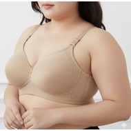 Sweet underwearshop Plus size plain thin pads bra no wire sizes 40,42,44,46 cap B&C