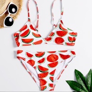 Watermelon 2-piece Bikini