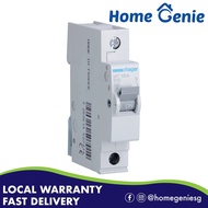 Hager Type B MCB 1P/2P Local