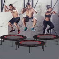 HY-6/Adult Indoor Trampoline Home Weight Loss Trampoline Professional Foldable Children Bounce Bed Trampoline Fitness Eq