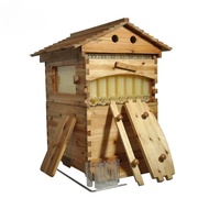 Flows Beehive & 7 Auto Frames China Fir Wax Coated Self Flowing Hive Automatic