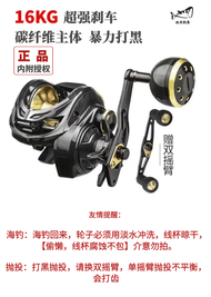 รีลตกปลาทะเลเขตร้อน DAIWA BG MQ 80H 80HG 80HS รีลตกปลาสปริงเทนเนอร์ไนลอนคาร์บอนสำหรับตกปลาทะเล