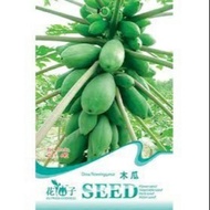 Benih Betik / Papaya Seeds - King