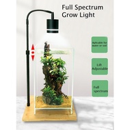Table Grow Light with Wood Base Durable and Full Spectrum